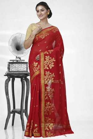 saree image