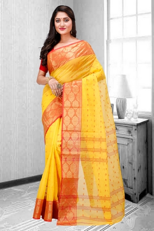 saree image