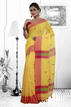 saree image