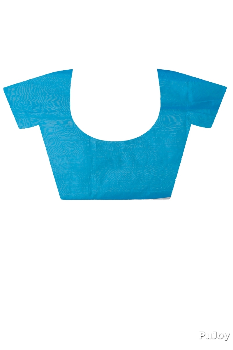 Sky Blue Blended Cotton Tuli Hand Loom Saree (1238)