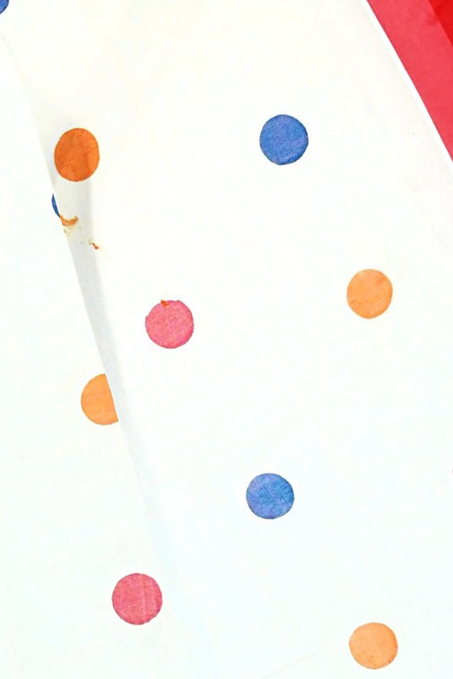 White Pure Cotton Tip Hand Loom Saree (1299)