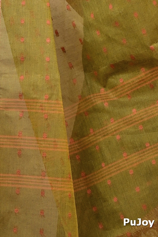 Green Pure Cotton Asmanito Tant Saree (1616)