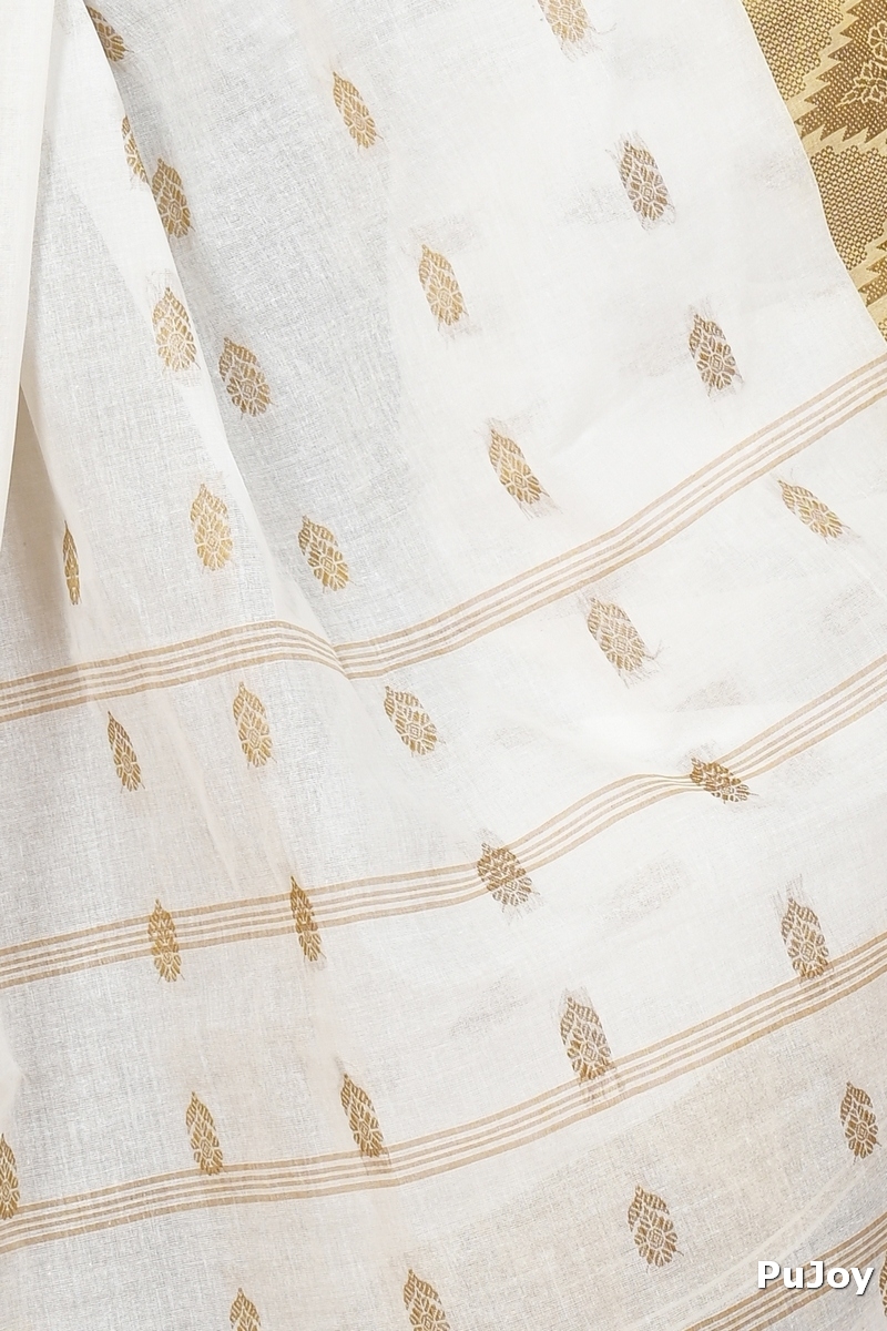 White Brown Pure Cotton Sadasob Tant Saree (1737)
