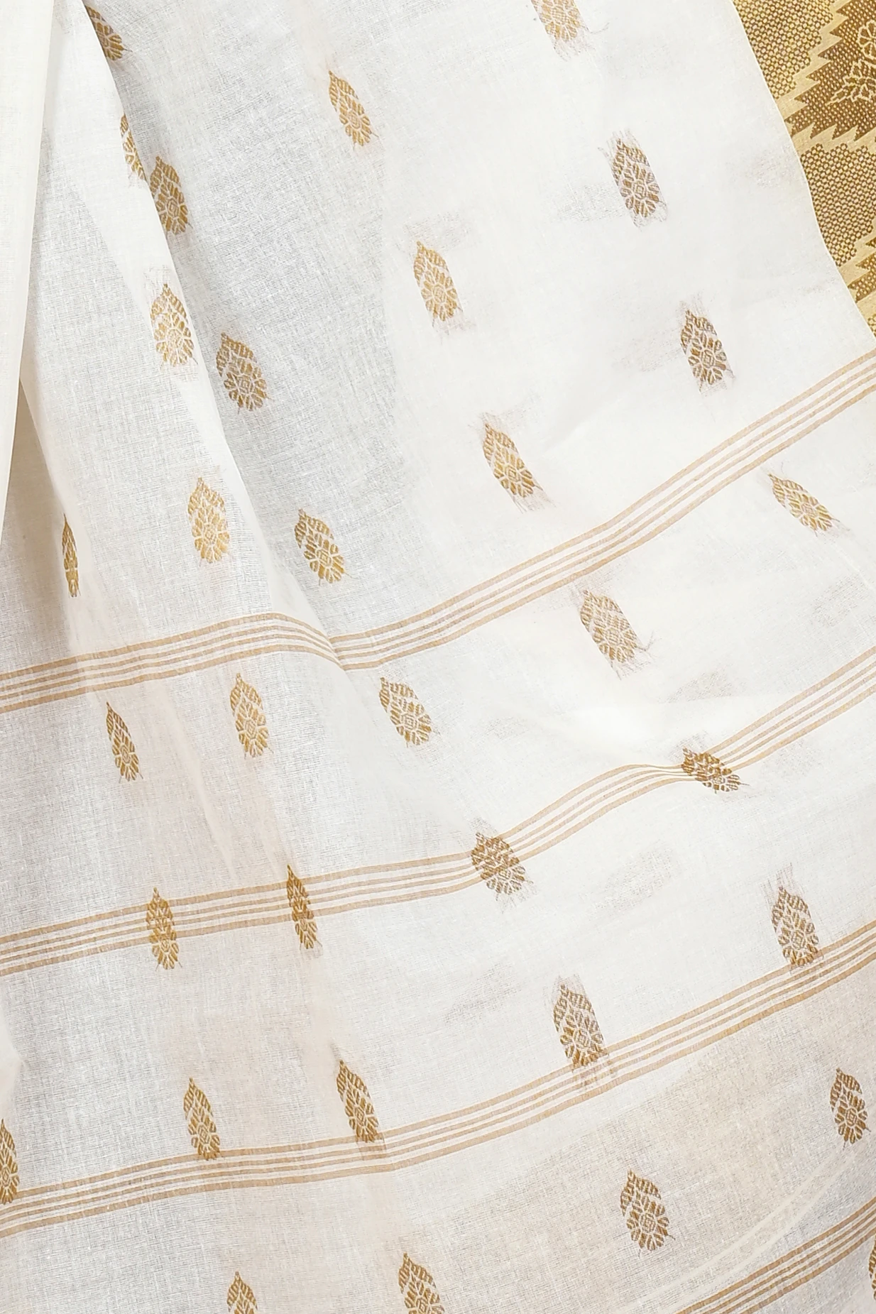 White Brown Pure Cotton Sadasob Tant Saree (1737)