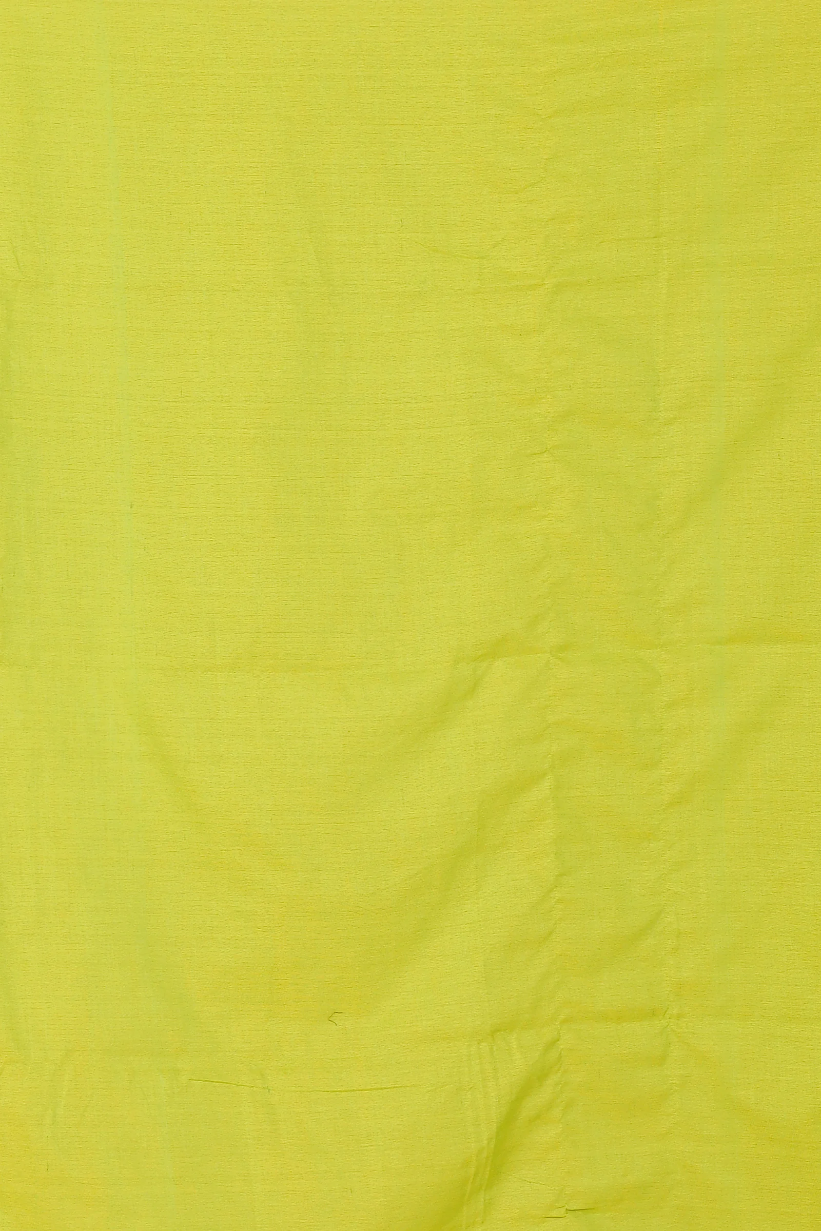 See Green Pure Cotton Umber Than Embroidery Handloom saree (1741)