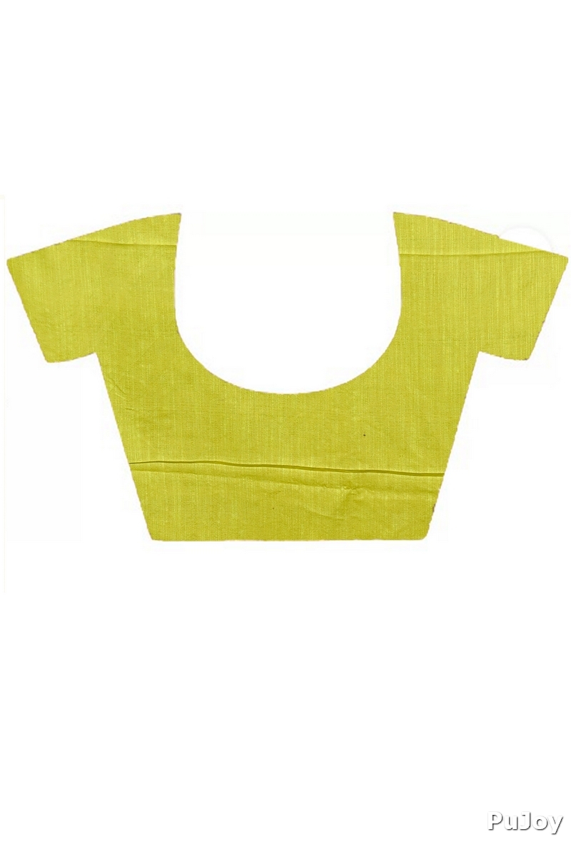 Lime Green Pure Cotton Pakhi Kantha Stitch Saree (1880)