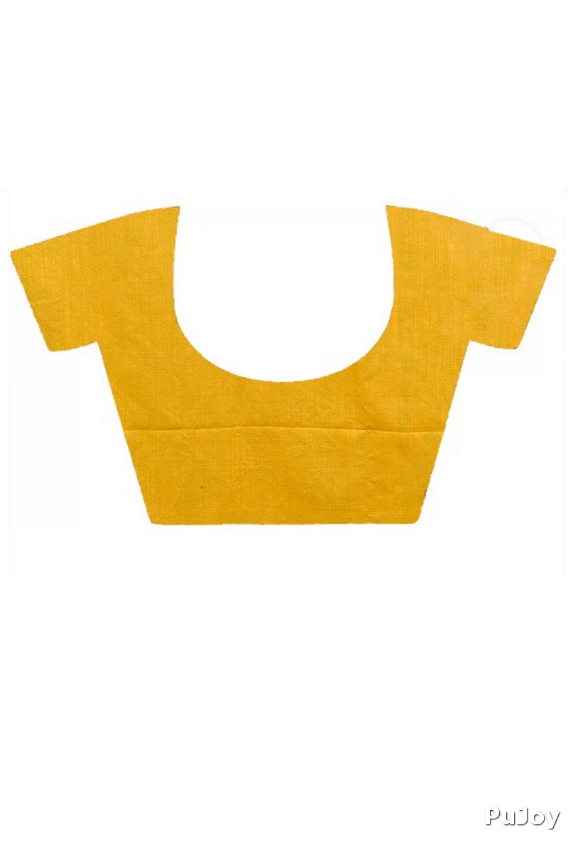 Yellow Pure Cotton Pakhi Kantha Stitch Saree (1881)
