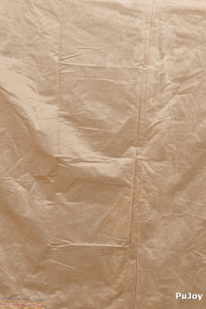 Light Brown Cotton Blend Dayki Kantha Stitch Saree (1904)