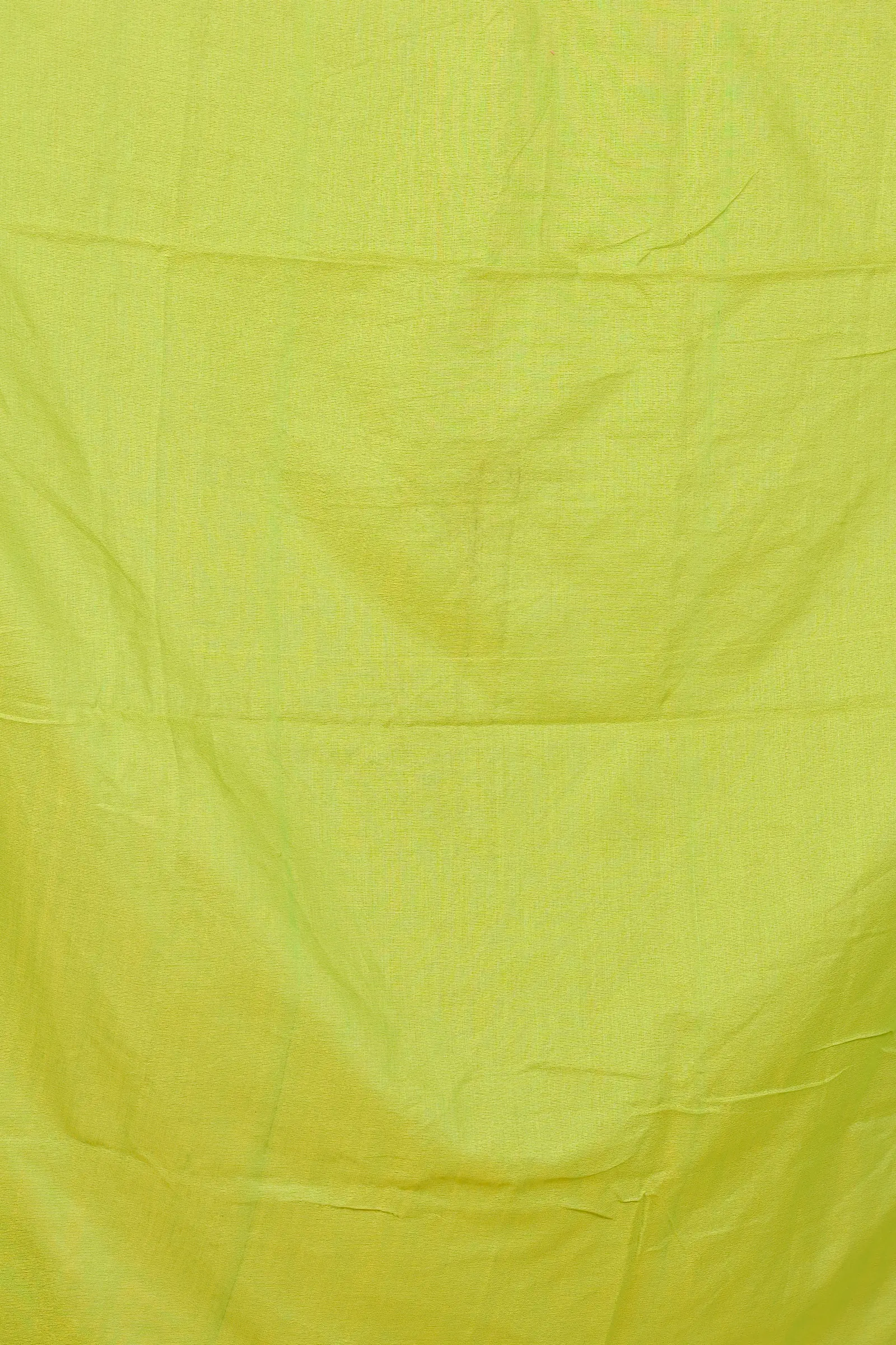 Green Pure Cotton Kamal Hand Painted Saree (1977)