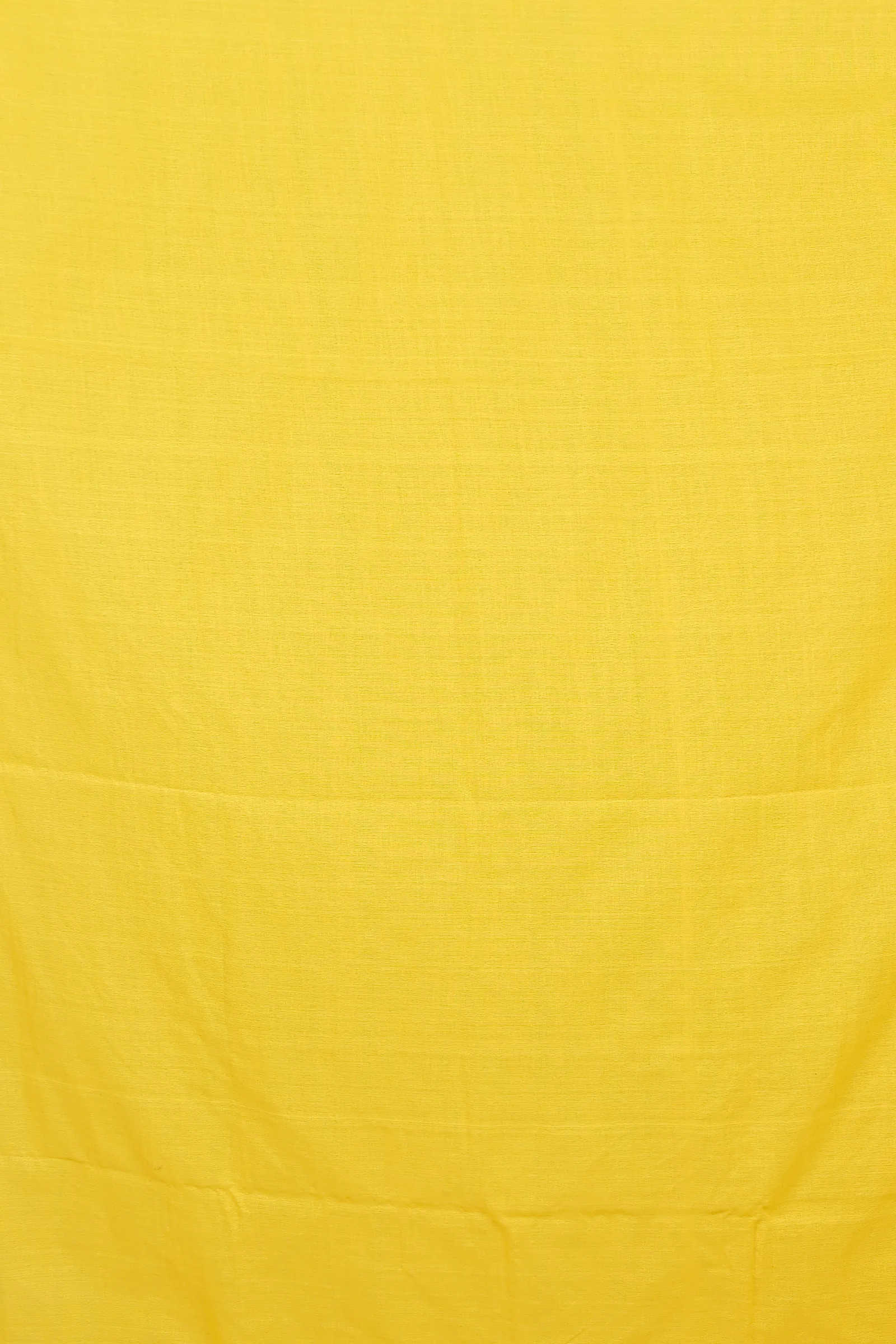 Yellow Pure Cotton Aplika Tanu Applique Saree (2003)
