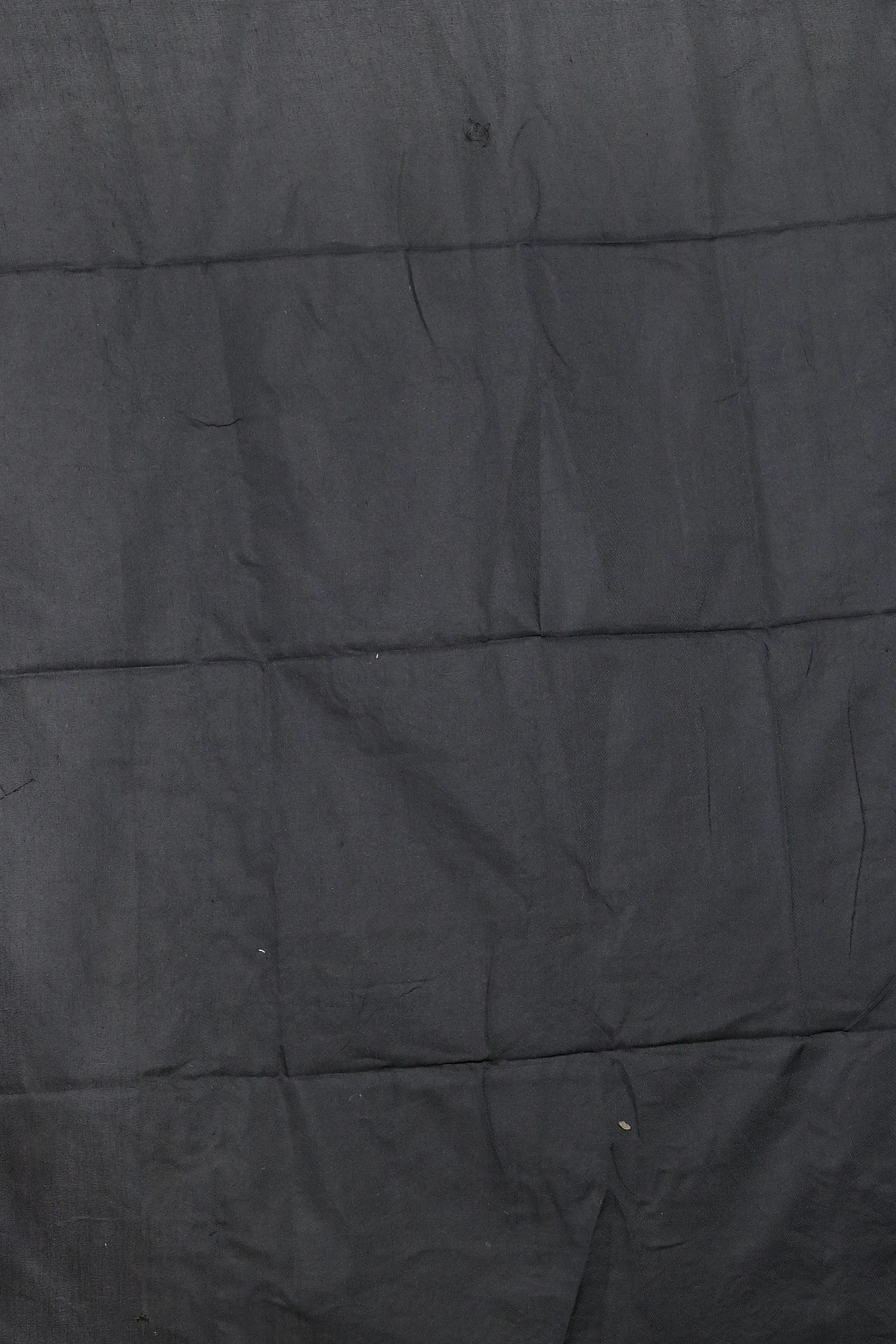 Black Pure Cotton Parag Embroidery Handloom saree (208)