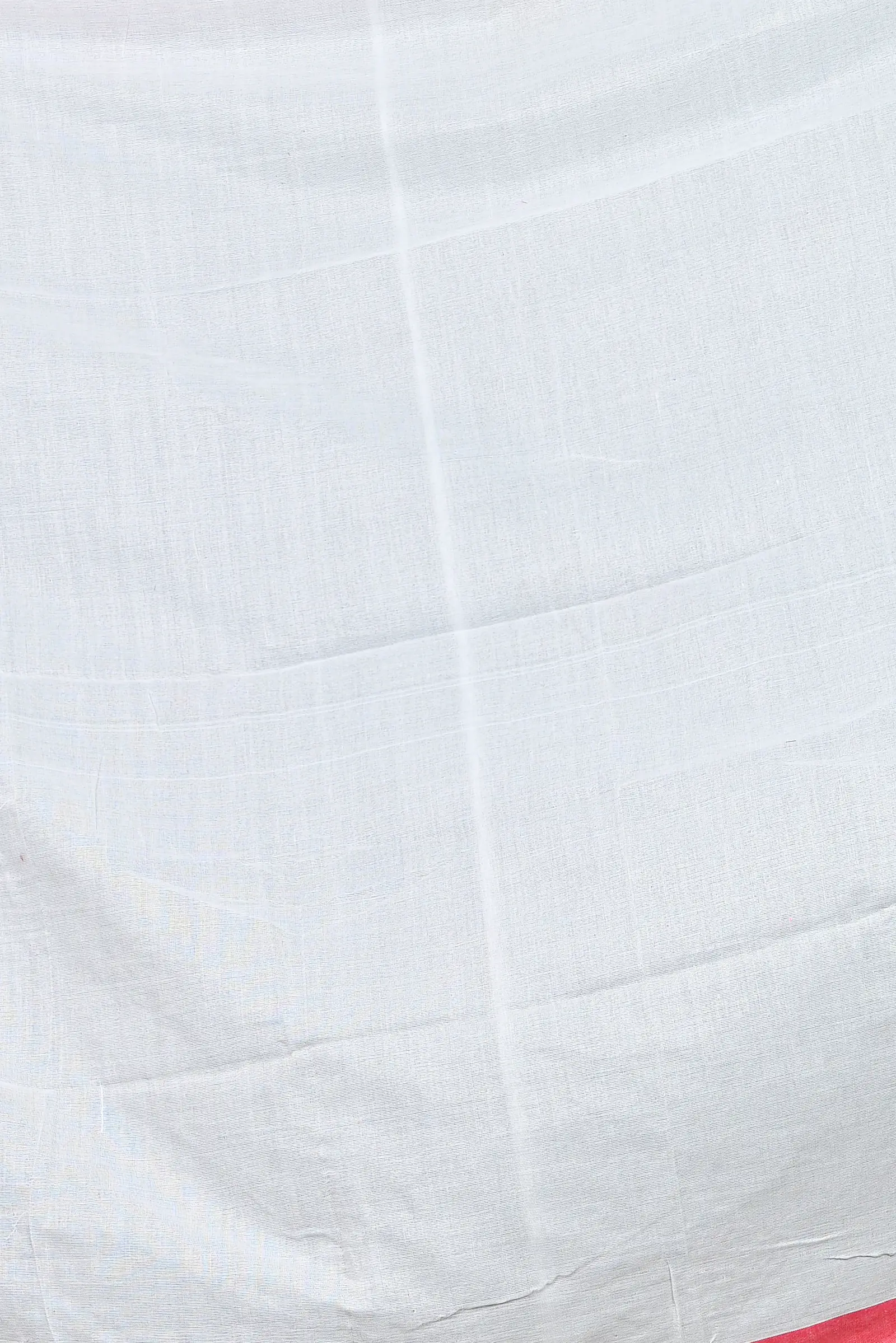 White Pure Cotton Parag Embroidery Handloom saree (210)