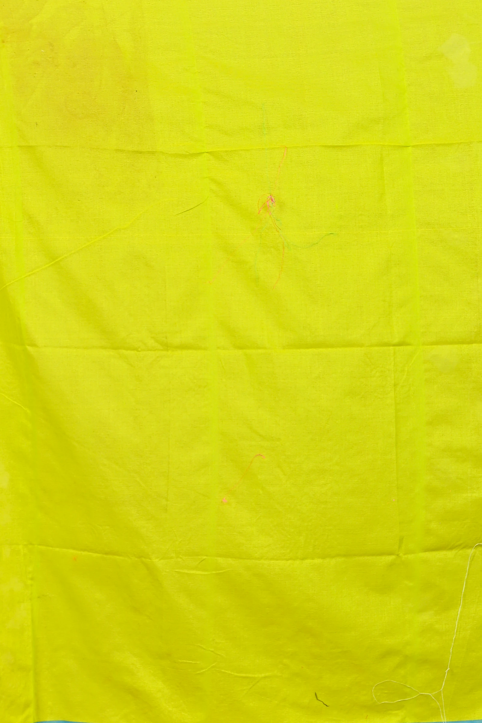 Lime Green Pure Cotton Parag Embroidery Handloom saree (211)