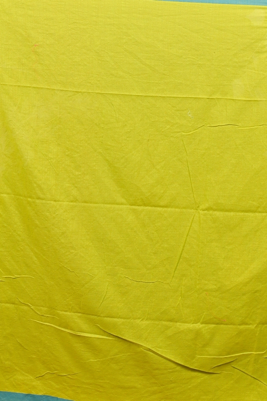 Lime Green Pure Cotton Dhrli Embroidery Handloom saree (2984)