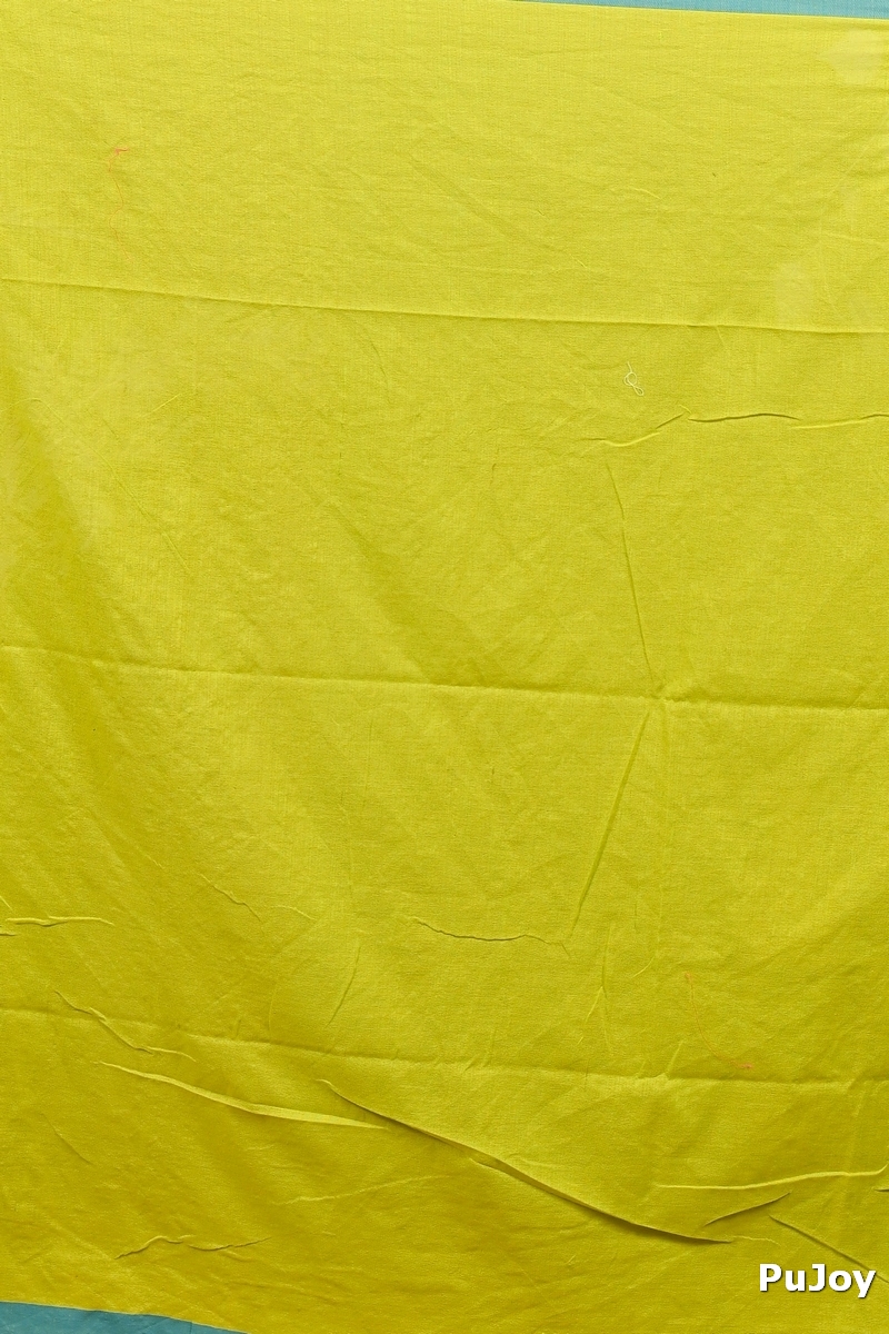 Lime Green Pure Cotton Dhrli Embroidery Handloom saree (2984)