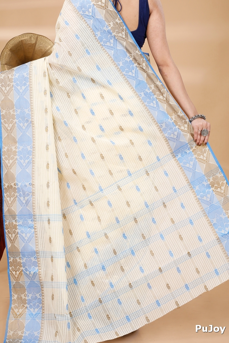 Blue Brown Pure Cotton Aged_Women Tant Saree (401)