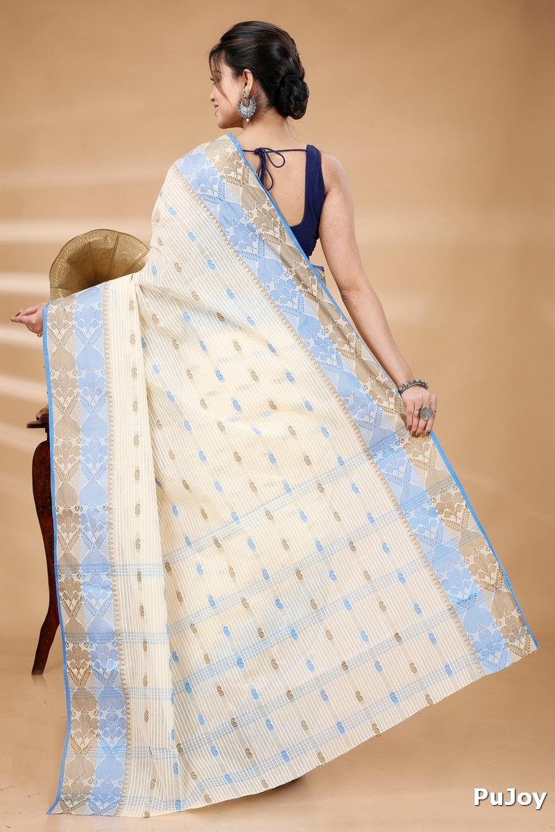 Blue Brown Pure Cotton Aged_Women Tant Saree (401)