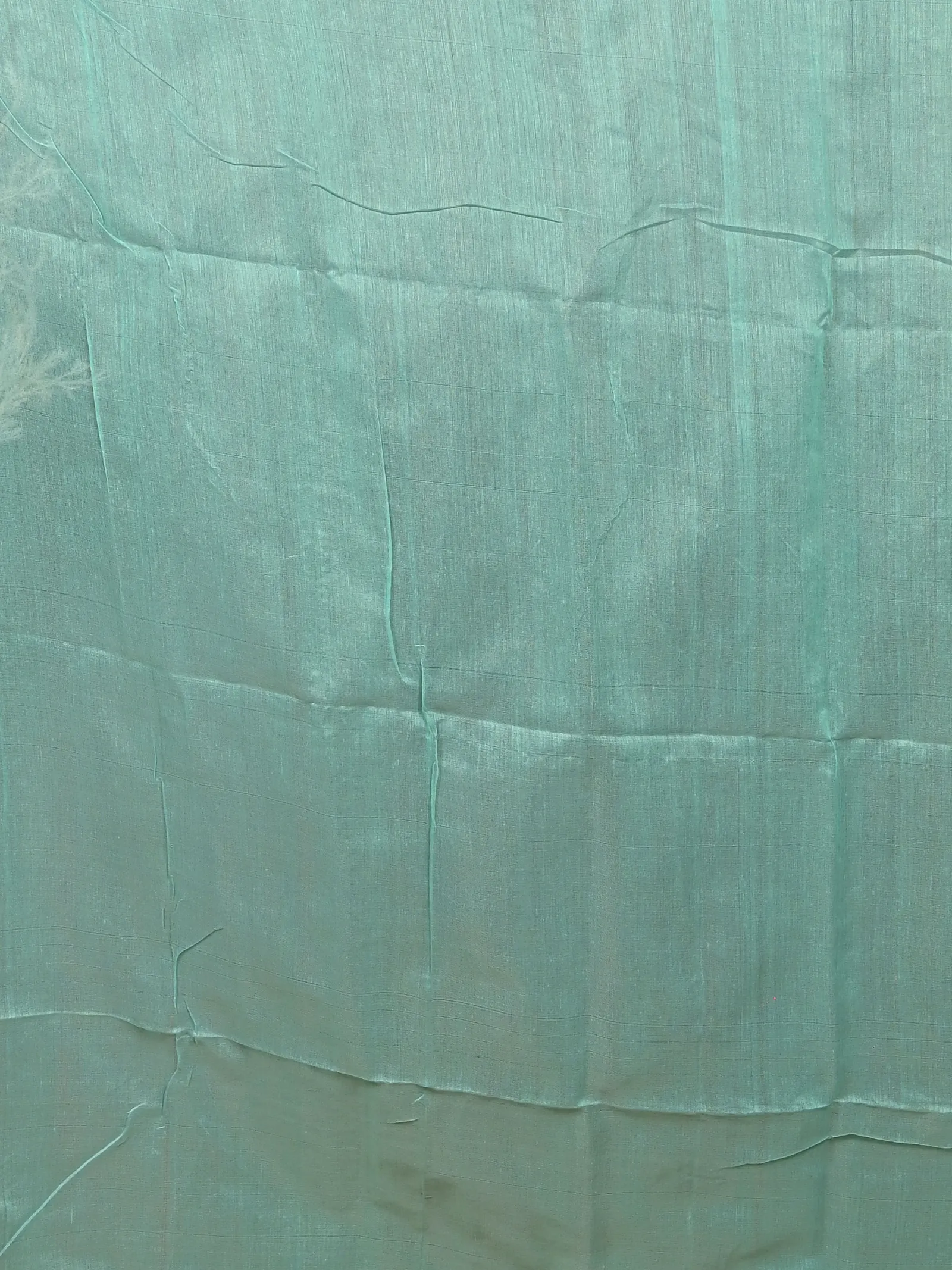 See Green Cotton Soubit Handloom Saree  (641)