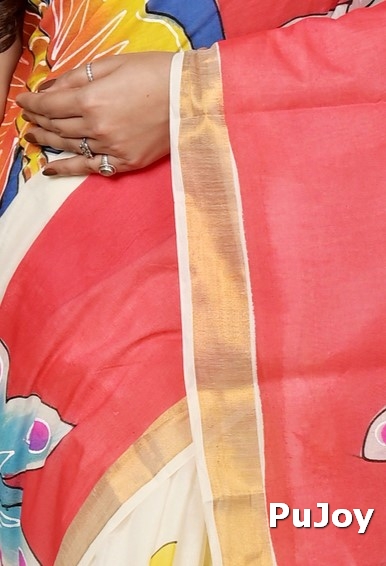 Multi-Coloured Pure Cotton Hataka Hand Painted Saree (9038)